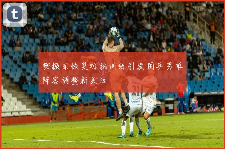 樊振东恢复对抗训练引发国乒男单阵容调整新关注